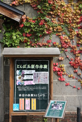 EO0A9946.JPG