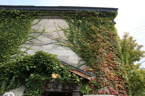 EO0A9947.JPG