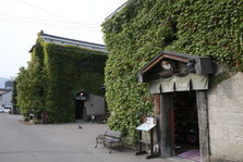 EO0A9953.JPG