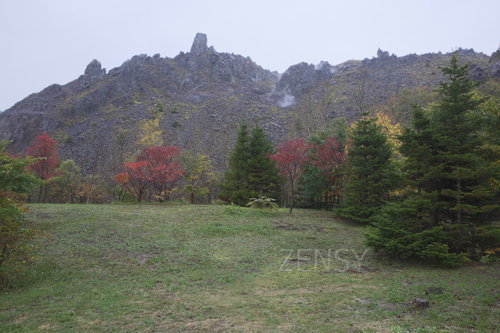 EO0A0836.JPG