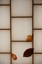 EO0A9075.JPG