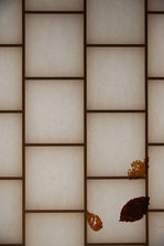 EO0A9077.JPG