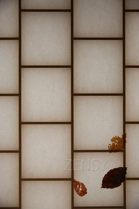 EO0A9077.JPG