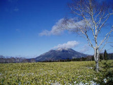 p005.jpg