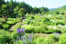 Kaze-no-Garden（5）.jpg
