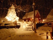 氷のＸＭＡＳツリーとニングルテラス.jpg