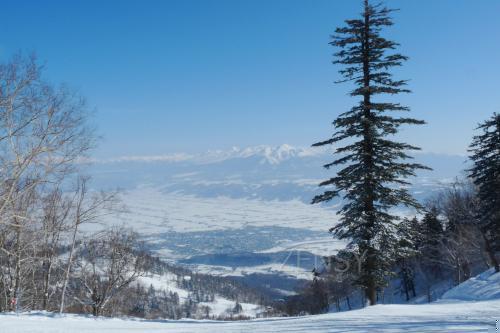 パノラマ山頂.JPG
