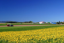 149-4953_IMG.JPG