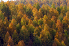 151-5195_IMG.JPG