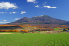 152-5218_IMG.JPG