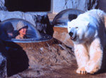 Asahiyama Zoo03.JPG