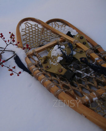 Classic_Snow_Shoes01.jpg