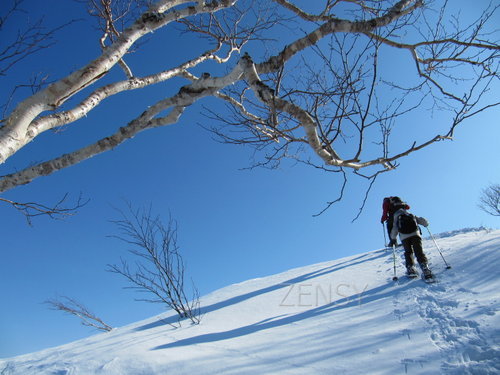 Snow_Shoeing01.JPG