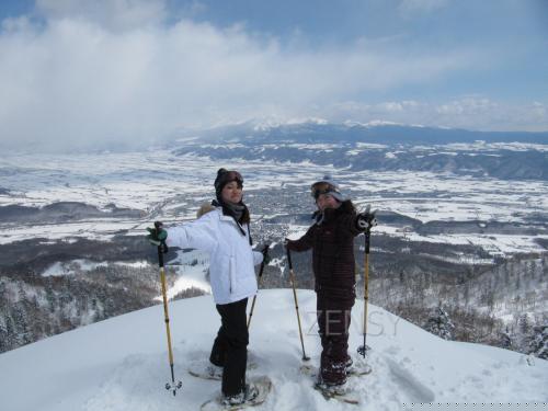 Snow_Shoewing03.JPG