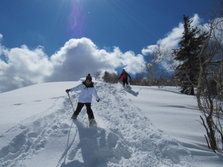 Snow_Shoewing04.JPG