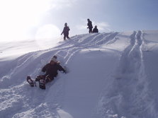Snow_Shoewing05.JPG