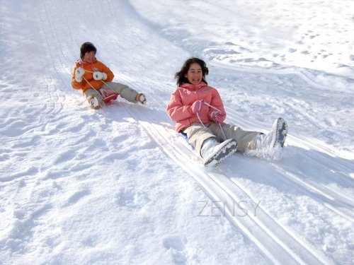 Snow_Sledding01.jpg