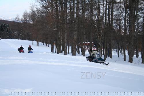 snow mobiling.JPG