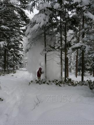 snow_shoeing11.JPG