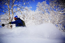 Furano05.jpg