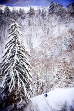 Furano09.jpg