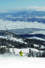 Furano37.jpg