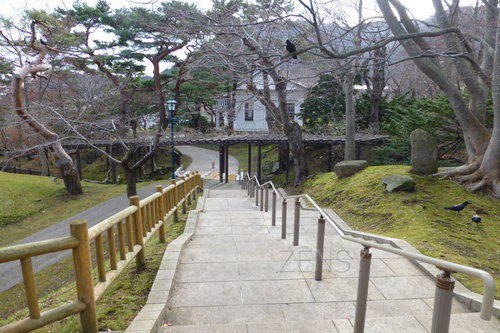 擂り鉢山から博物館へ.JPG