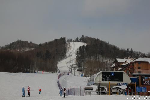IMG_0210.JPG