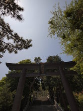 _A073559