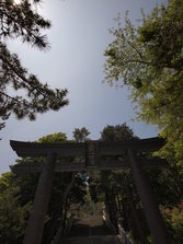 _A073560