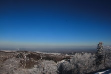 IMG_0420.JPG