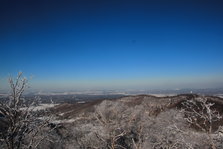 IMG_0430.JPG