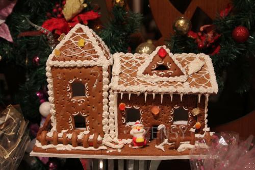 IMG_9973.JPG