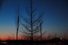 IMG_0569.JPG