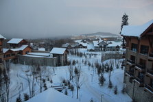 IMG_9837.JPG