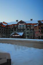 IMG_9873.JPG
