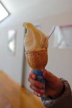 IMG_1634.JPG