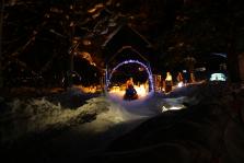 IMG_1205.JPG