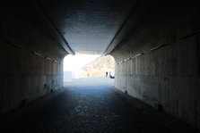 IMG_2460.JPG