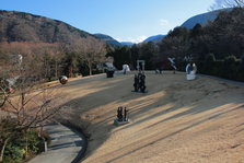 IMG_2466.JPG