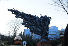 IMG_2499.JPG