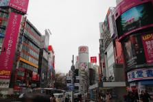 IMG_2165.JPG
