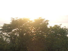 _A073920