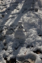 IMG_2428.JPG