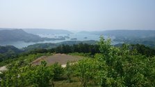 DSC_0113[1]