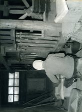 绶