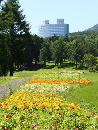 03 Flower Zone