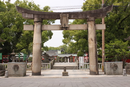 kiji7 (1)