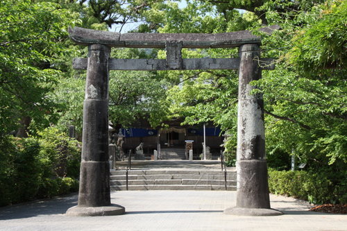 kiji4 (3)