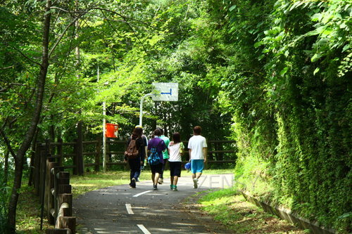 kiji8 (1)